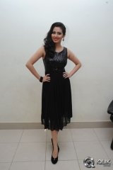 Sadha at Yamaleela 2 Movie Audio Launch